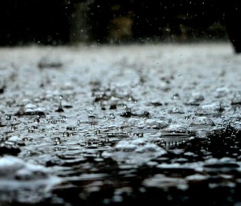 rain drops