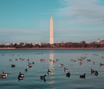 washington monument usa