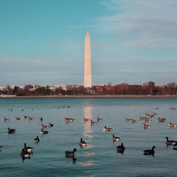 washington monument usa