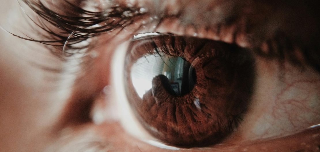 brown human eye