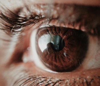 brown human eye