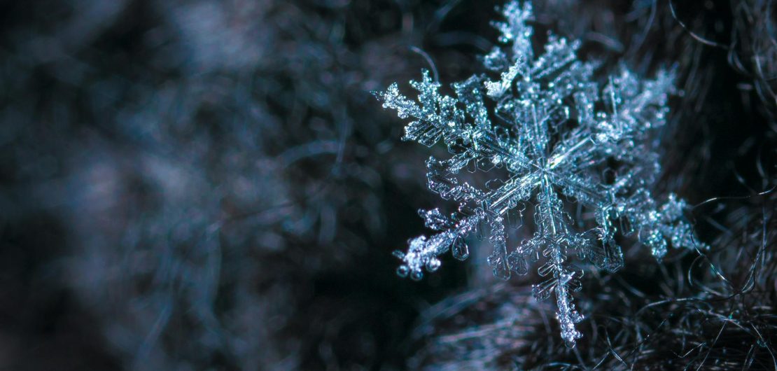 close up photography of snowflake