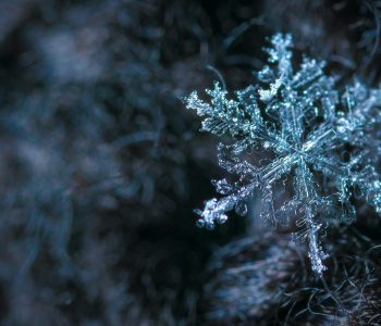 close up photography of snowflake