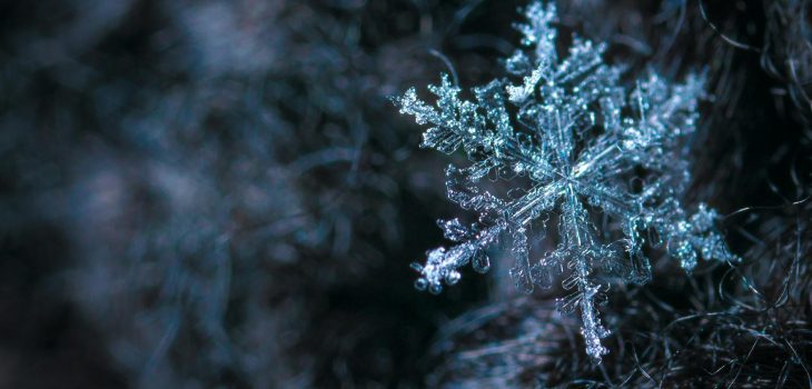 close up photography of snowflake