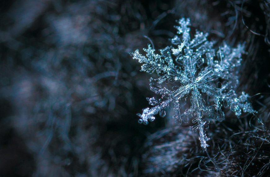 close up photography of snowflake