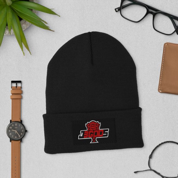 Cuffed Beanie 1