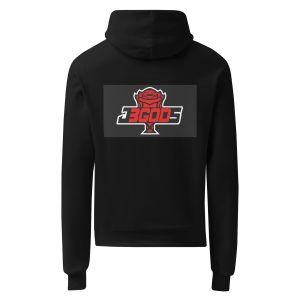 Unisex Champion hoodie1