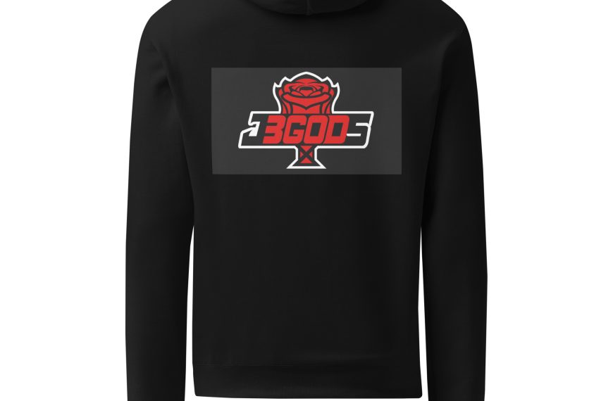 Unisex Champion hoodie1